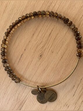 ALEX AND ANI Canyon Smokey Crystal Beaded Bangle Bangle Bracelet